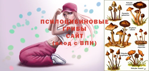 эйфоретик Верхний Тагил